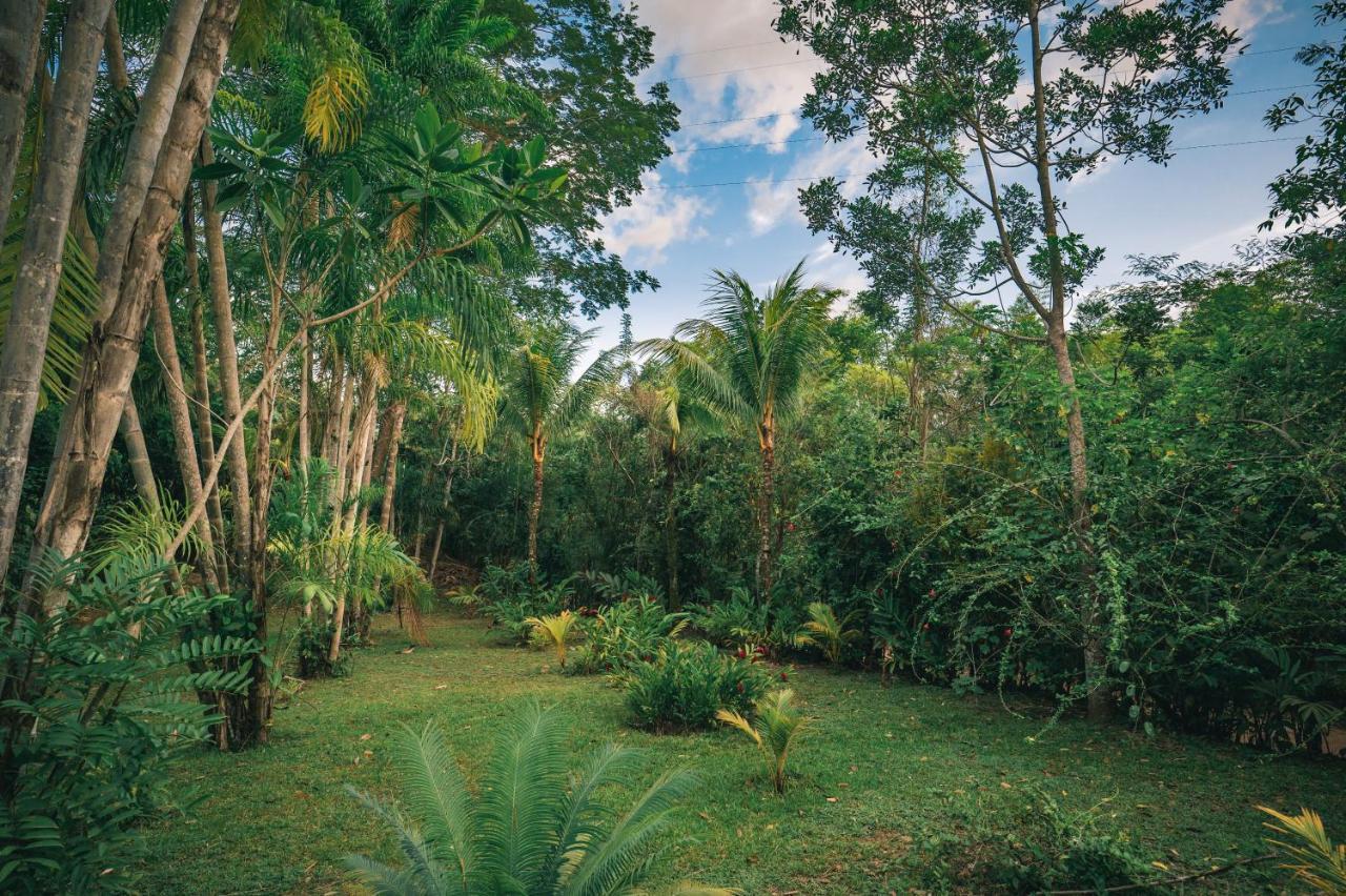 Huingos Eco Lodge Tarapoto Luaran gambar