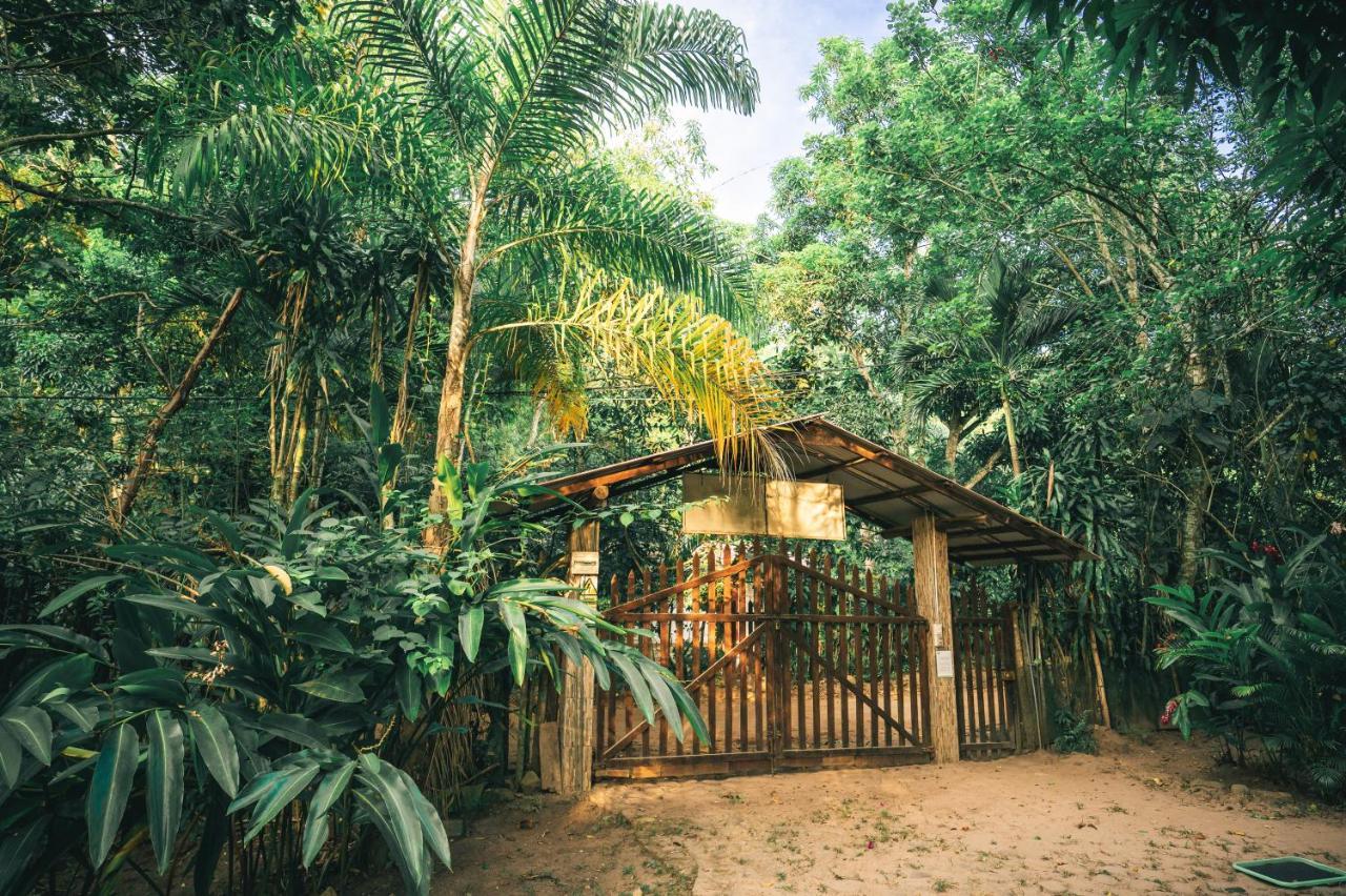 Huingos Eco Lodge Tarapoto Luaran gambar
