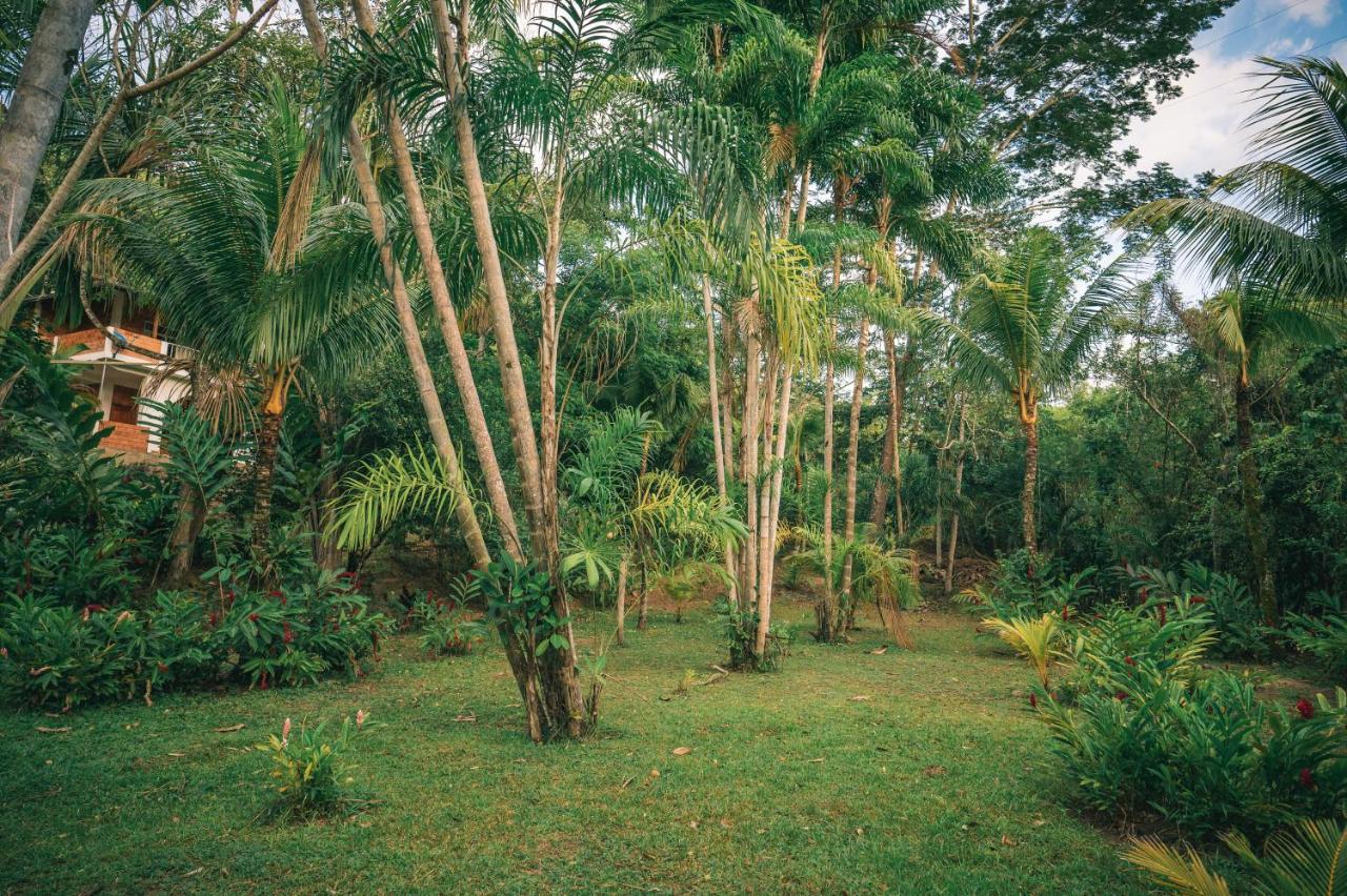 Huingos Eco Lodge Tarapoto Luaran gambar
