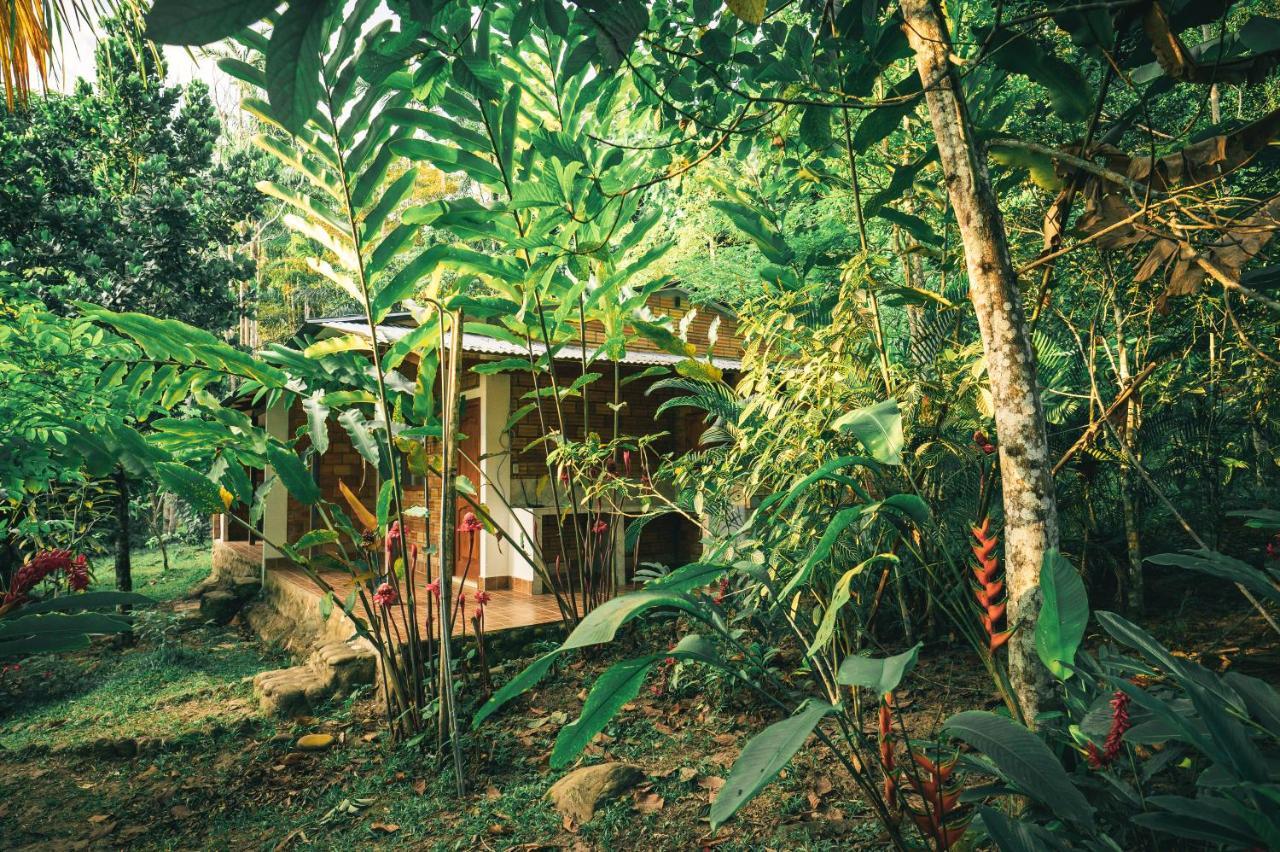 Huingos Eco Lodge Tarapoto Luaran gambar