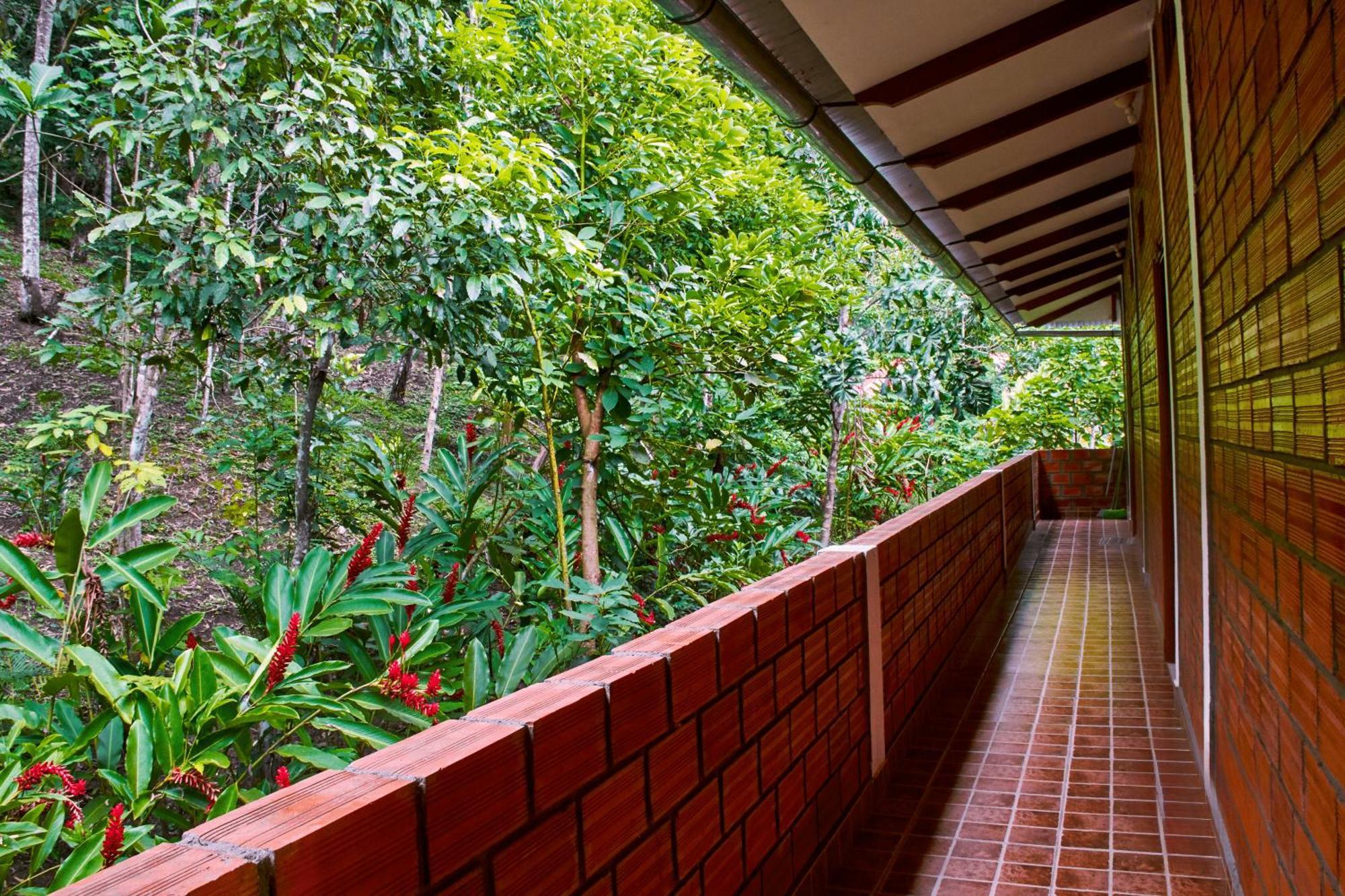 Huingos Eco Lodge Tarapoto Luaran gambar