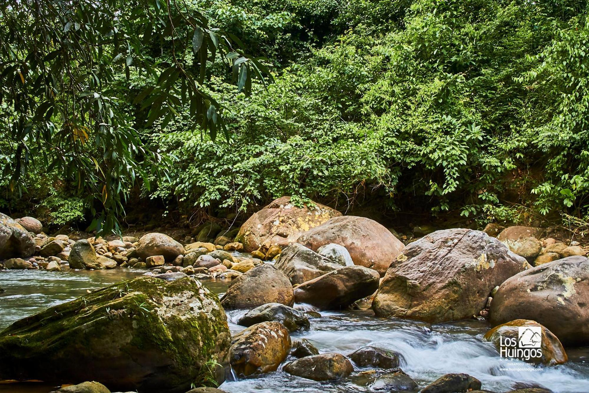 Huingos Eco Lodge Tarapoto Luaran gambar